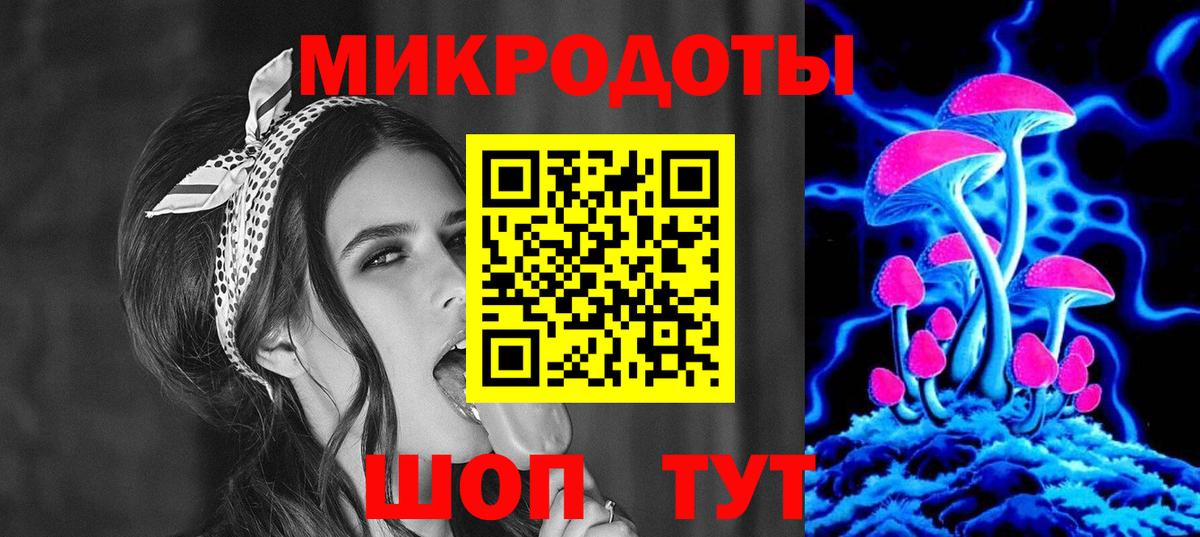 Галлюциногенные грибы Psilocybe Оренбург
