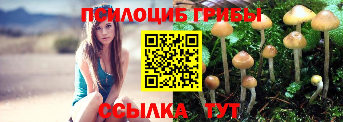 цены   Вход с VPN  Галлюциногенные грибы Psilocybine cubensis  Оренбург  Псилоцибиновые грибы Magic Shrooms 